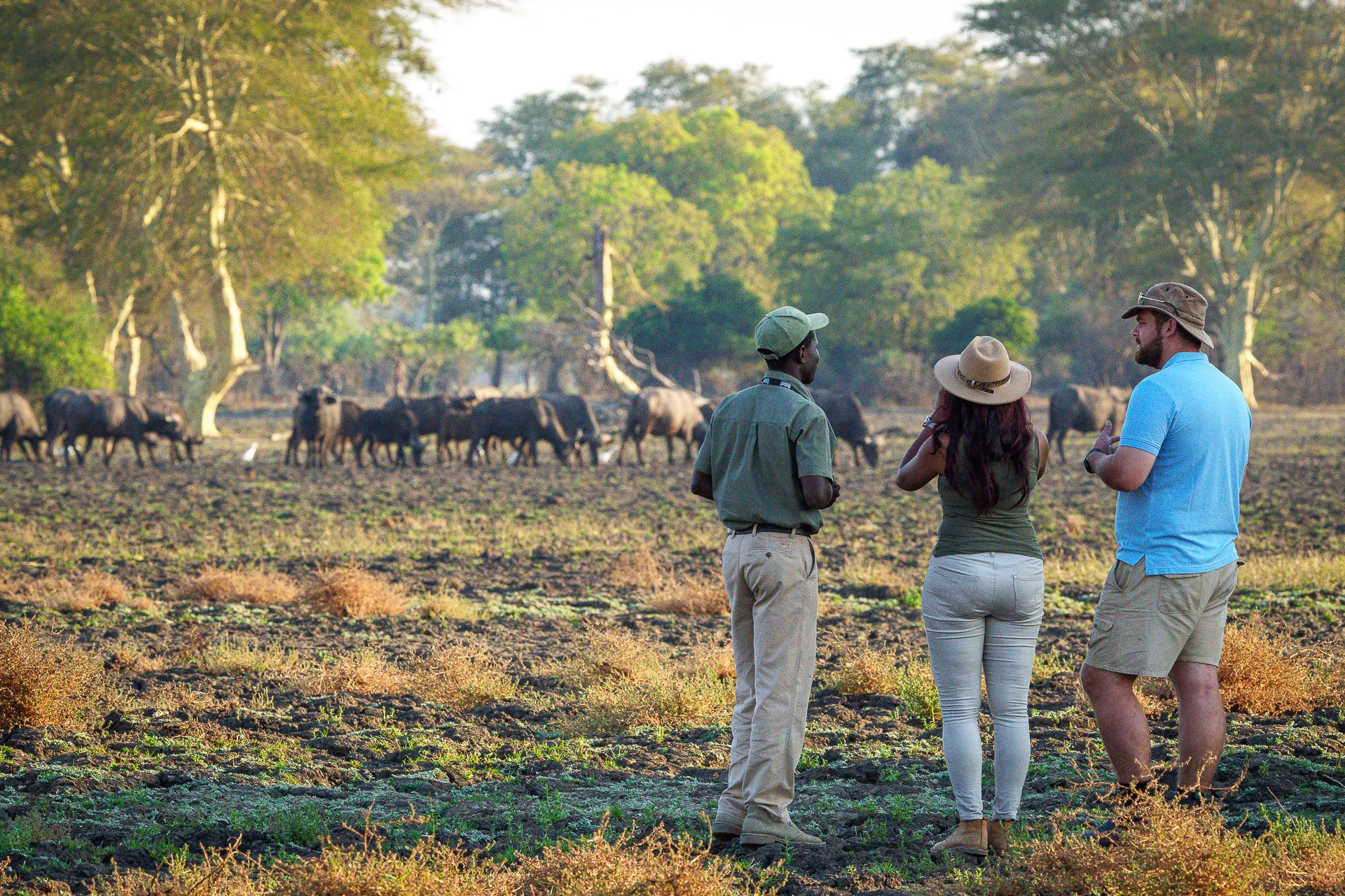 Family and Group Tours